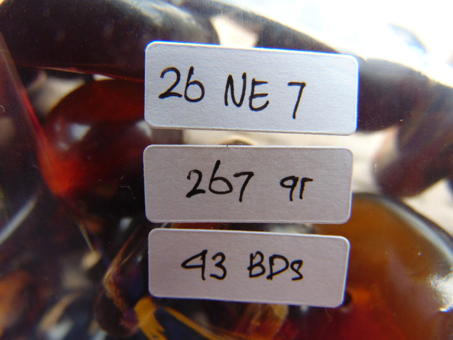 267 gram Small Necklace Beads Indonesian Amber for Healing 26NE7