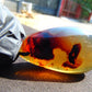 20 gr Pendant Indonesian Sky Blue Amber for Healing