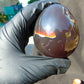 132 gr Shaped Egg 72x59 mm Indonesian Cherry Red Amber for Healing AJT377