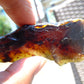 22 gram Rough Raw Indonesian Blue Amber for Healing 26MRB36