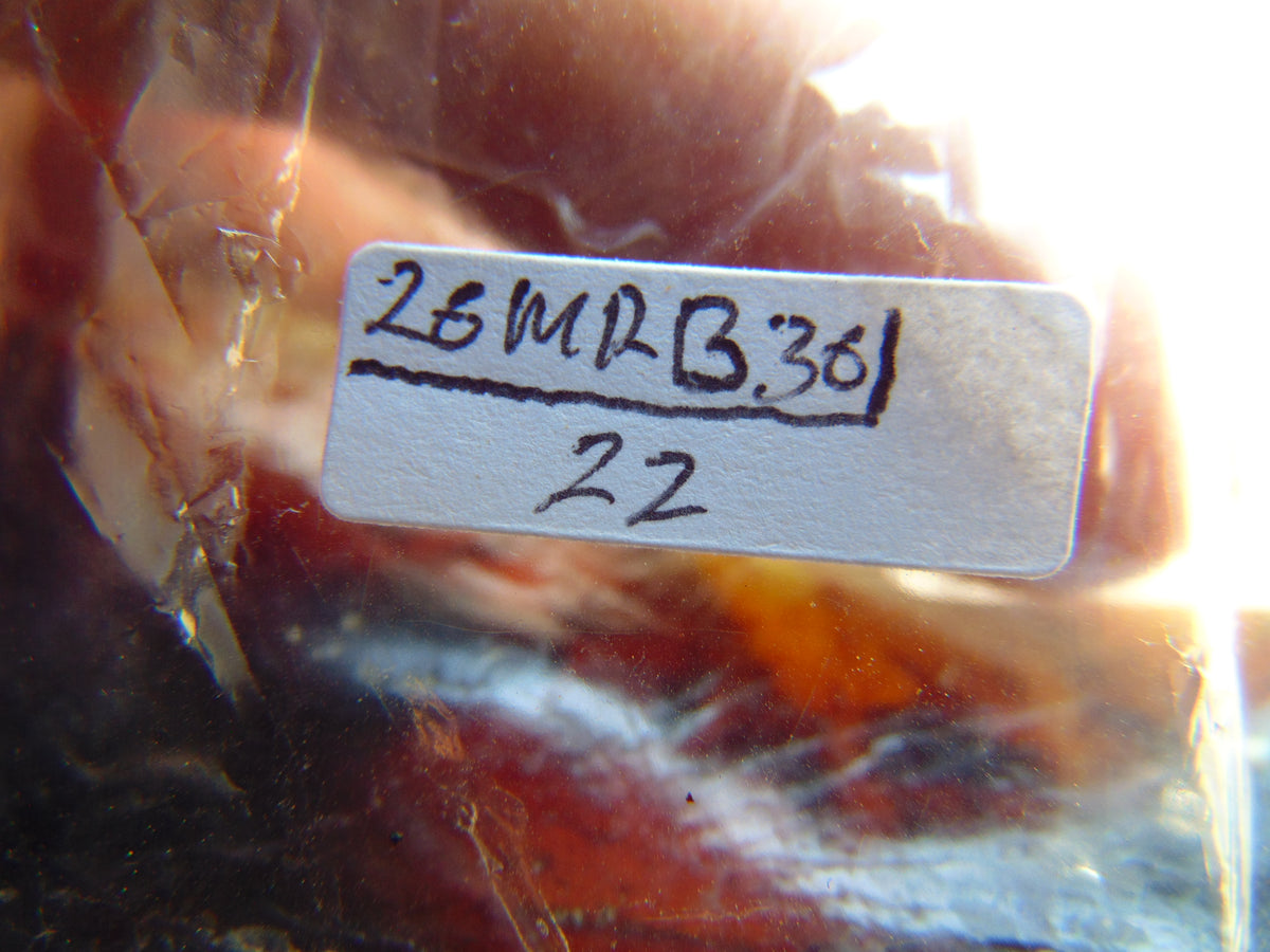 22 gram Rough Raw Indonesian Blue Amber for Healing 26MRB36
