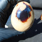 109 gr Shaped Egg 93x73 mm Indonesian White Amber for Healing AJT379