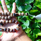 65 gr Tasbih Mesbah Rosary 35 Beads 14 mm Indonesian White Amber for Healing TB01