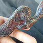 179 gram Dragon carving 3D 20x5.1x8 cm Indonesian Blue Purple Amber