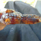 179 gram Dragon carving 3D 20x5.1x8 cm Indonesian Blue Purple Amber