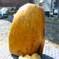 1066 gram Polished Indonesia Yellow Fragrance Amber for Healing K705
