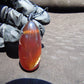 13 gr Teardrop Pendant Indonesian Amber for Healing 25N81