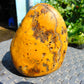 270 gram Polished Indonesia Yellow Fragrance Amber for Healing K706
