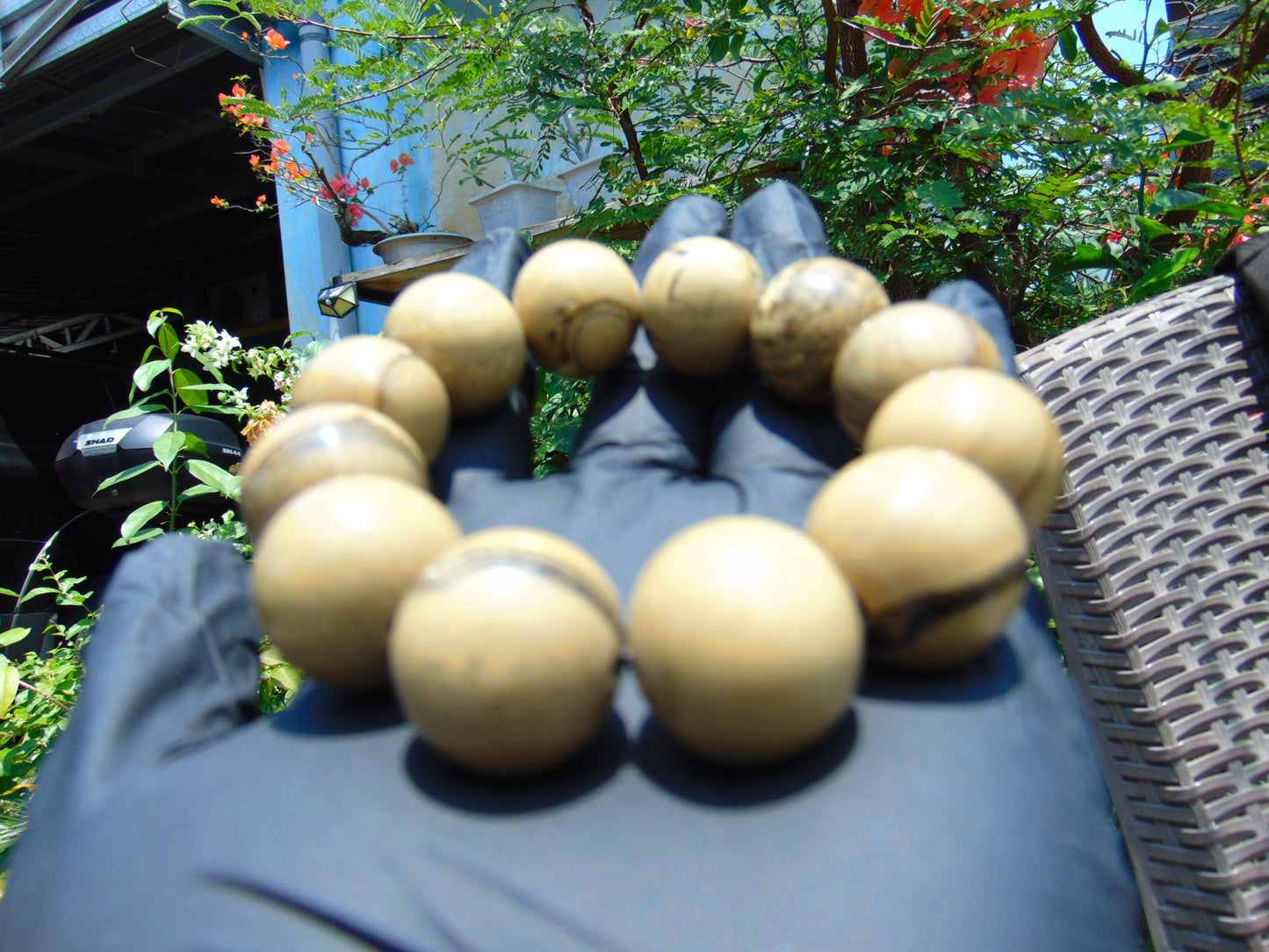 55 gram 12 Beads Mala Bracelet Indonesian Yellow Fragrant Amber 20 mm for Healing F12K1