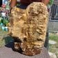 15625 gram Polished Indonesia Yellow Perfumed Aromatic Amber for Healing AY52AR