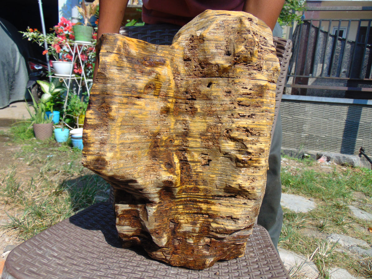 15625 gram Polished Indonesia Yellow Perfumed Aromatic Amber for Healing AY52AR