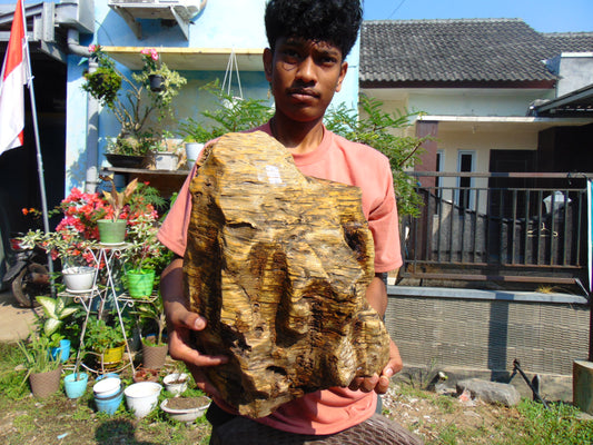15625 gram Polished Indonesia Yellow Perfumed Aromatic Amber for Healing AY52AR