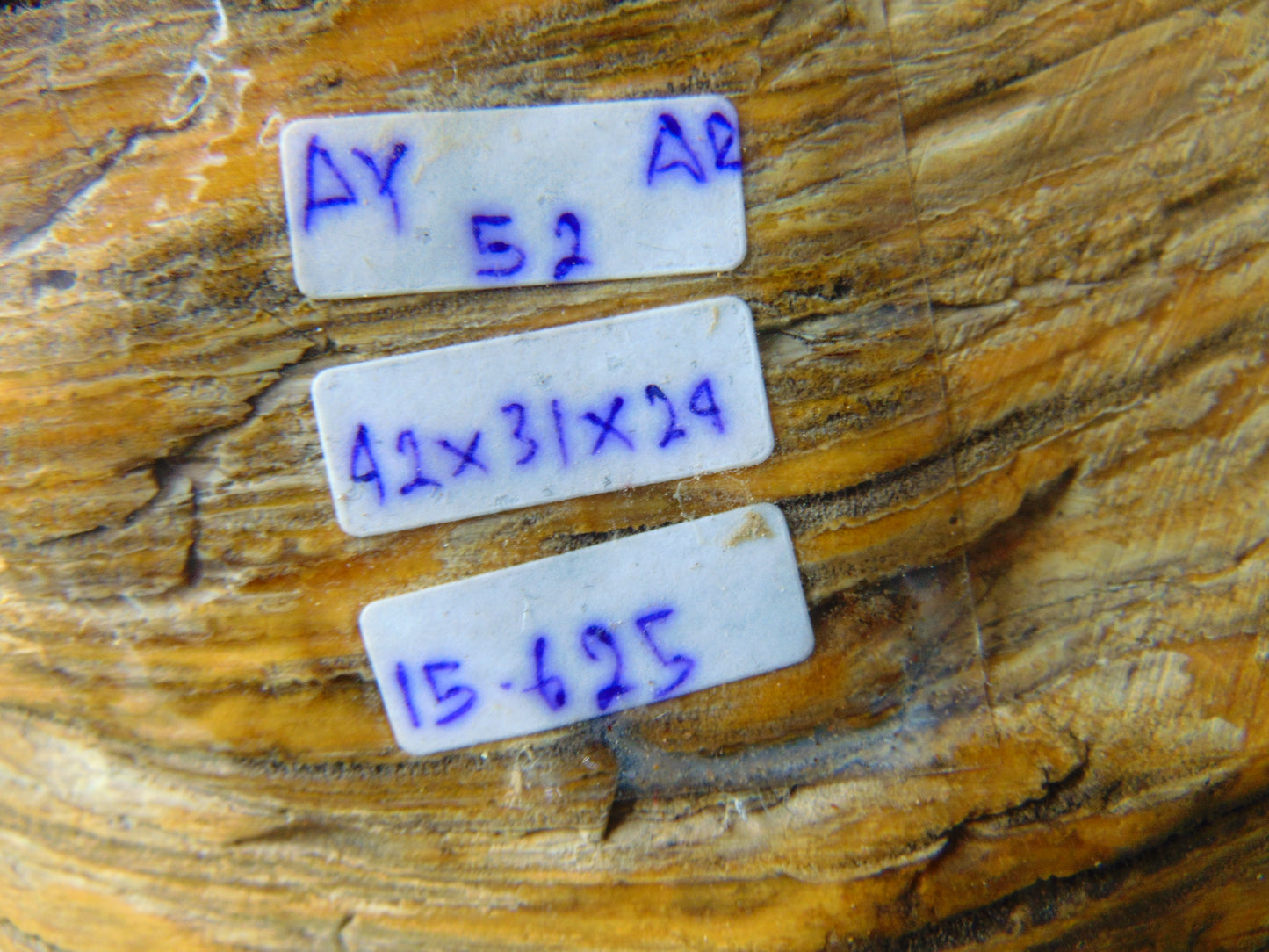 15625 gram Polished Indonesia Yellow Perfumed Aromatic Amber for Healing AY52AR