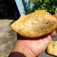 469 gram Polished Indonesia Yellow Fragrance Amber for Healing K640