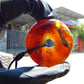 18 gr Donut Pendant Indonesian Blue Red Amber for Healing 25A127
