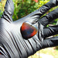 10 gr Heart Pendant Indonesian Red Blue Amber for Healing 26Y123