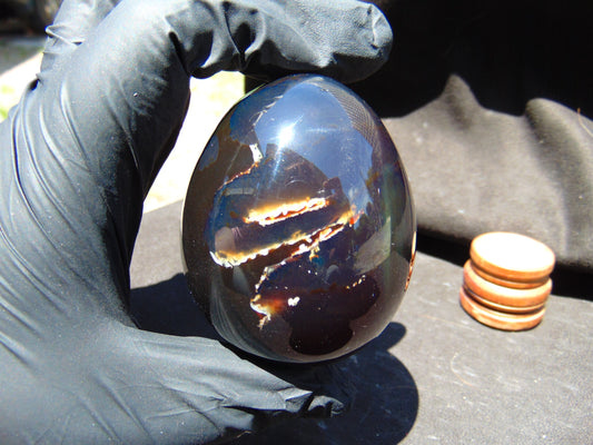 134 gr Shaped Egg 70x59 mm Indonesian Black Blue Amber for Healing TR13