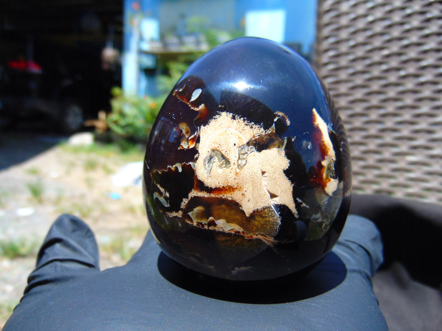 134 gr Shaped Egg 70x59 mm Indonesian Black Blue Amber for Healing TR13