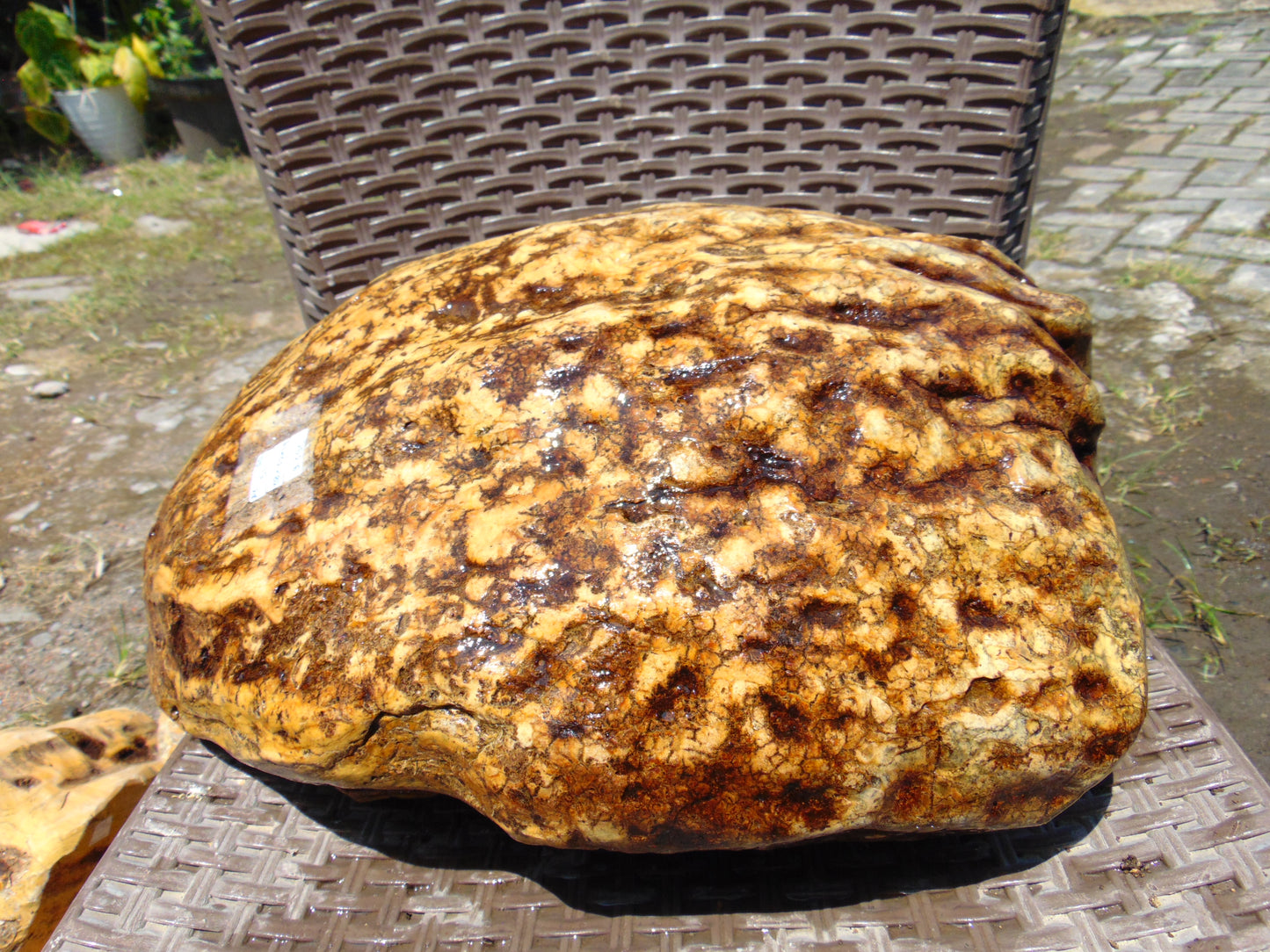 9390 gram Polished 38x32x14 cm Indonesia Yellow Fragrance Amber for Healing AY51AR