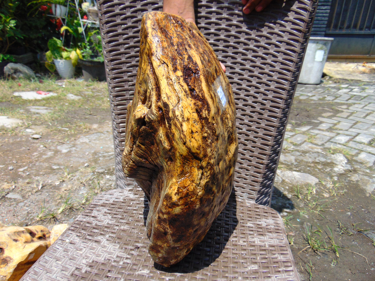 9390 gram Polished 38x32x14 cm Indonesia Yellow Fragrance Amber for Healing AY51AR