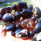 170 gr Small Necklace beads Indonesian Amber for Healing NK30