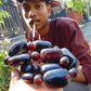 227 gram 19 Beads Big Necklace Indonesian Amber for Healing NK8