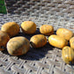 167 gr Small Necklace beads Indonesian Yellow Amber for Healing 26NKH2