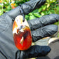 23  gr Teardrop Pendant Indonesian blue white Amber for Healing 25Y15