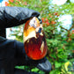 23  gr Teardrop Pendant Indonesian blue white Amber for Healing 25Y15