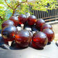 92 gram 10 Beads  Mala Bracelet Indonesian Cherry Red Amber 25 mm for Healing BB6