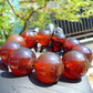 94 gram 10 Beads Mala Bracelet Indonesian Crystal Red Amber 25 mm for Healing BB10