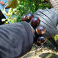 94 gram 10 Beads Mala Bracelet Indonesian Dark Red Amber 25 mm for Healing BB7