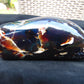 1658 gr Full Polished 20x18x7 mm Indonesia Black Blue Amber for Healing AR217