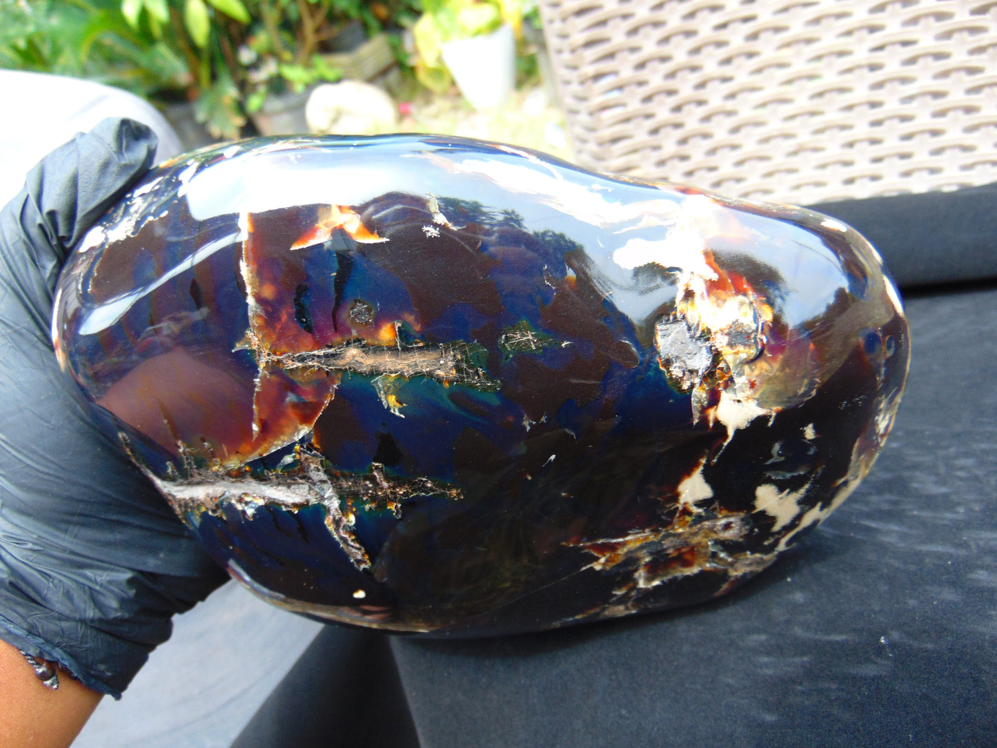 1658 gr Full Polished 20x18x7 mm Indonesia Black Blue Amber for Healing AR217