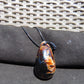 22 gr Teardrop Pendant Indonesian white Amber for Healing 25A62