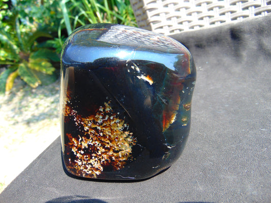 459 gr Shaped Square Polished Indonesian Mushroom Inclusion Dark Blue Amber for Healing FR112