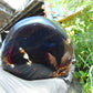 459 gr Shaped Square Polished Indonesian Mushroom Inclusion Dark Blue Amber for Healing FR112