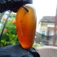 12 gram Pendant Indonesian Blue Amber for Healing PCA567