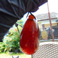 15 gr Teardrop Pendant Indonesian blue Amber for Healing 25A40