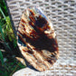 378 gram Slim Slab Polished 21x13x2 cm Indonesian Zebra White Amber for Healing AR97