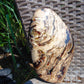 378 gram Slim Slab Polished 21x13x2 cm Indonesian Zebra White Amber for Healing AR97