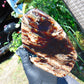 378 gram Slim Slab Polished 21x13x2 cm Indonesian Zebra White Amber for Healing AR97
