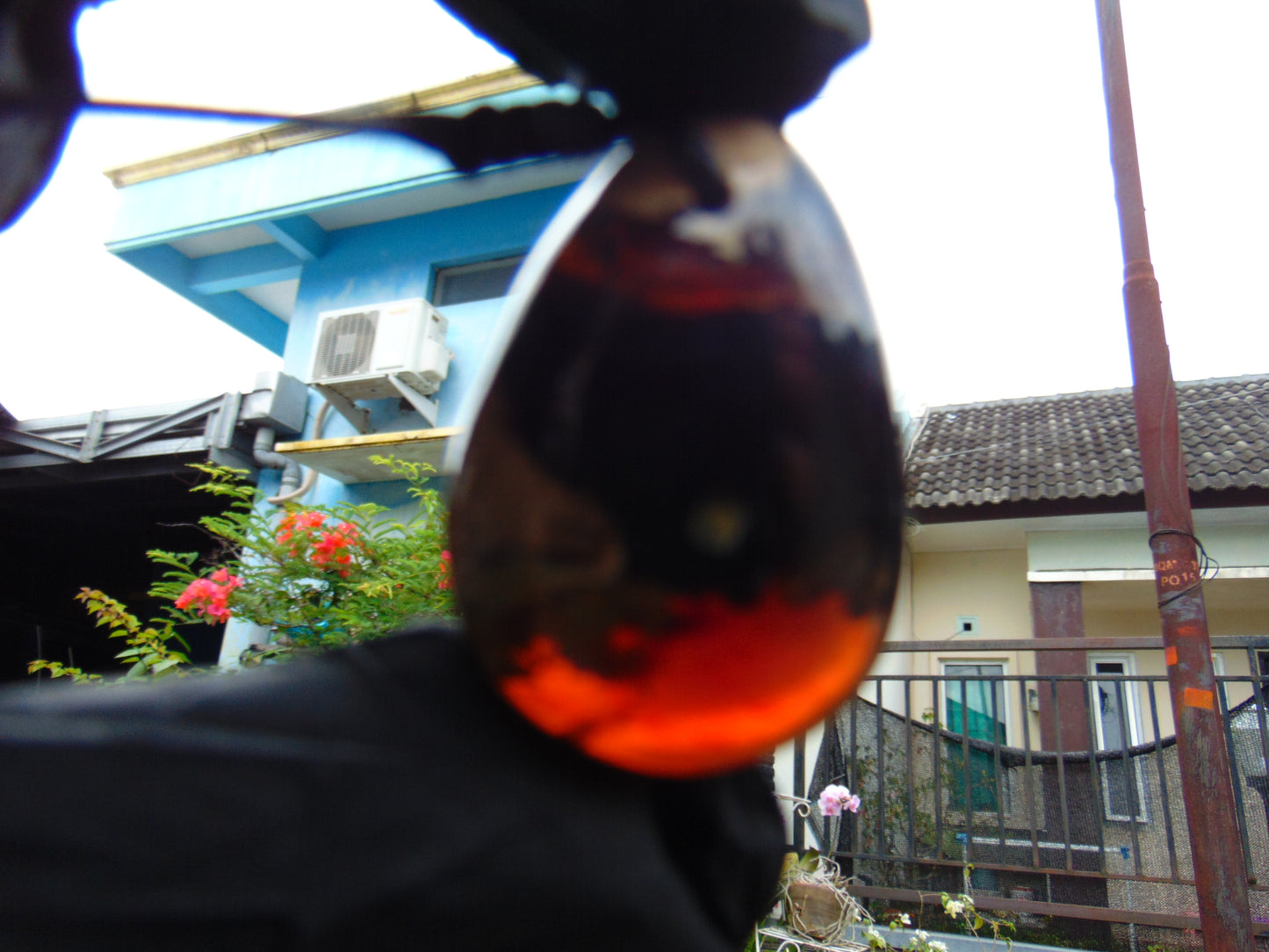 13 gram Teardrop Pendant Indonesian Blue Amber for Healing PCN571