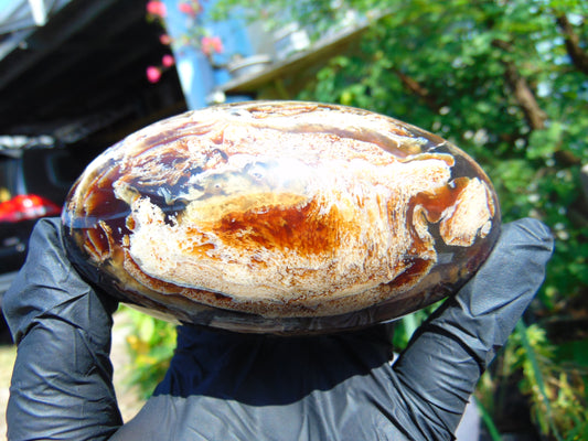 214 gr Shaped Rugby Indonesian Zebra White Amber for Healing ST126