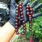 108 gr Tasbih Mesbah Rosary 33+2 Beads 18 mm Indonesian Red Amber for Healing TB17i7
