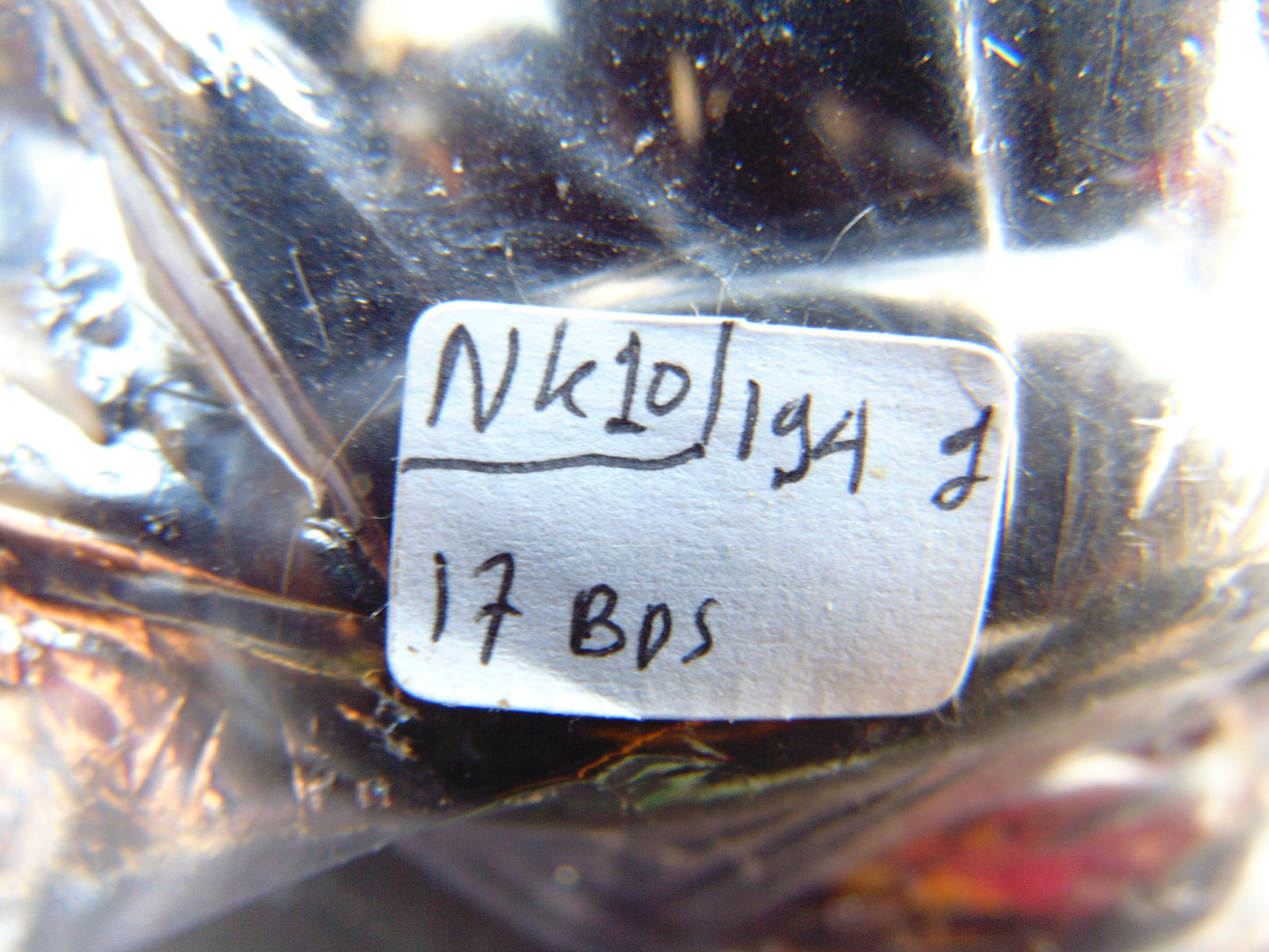 194 gram Small Beads Combination Necklace Indonesian Amber for Healing NK10