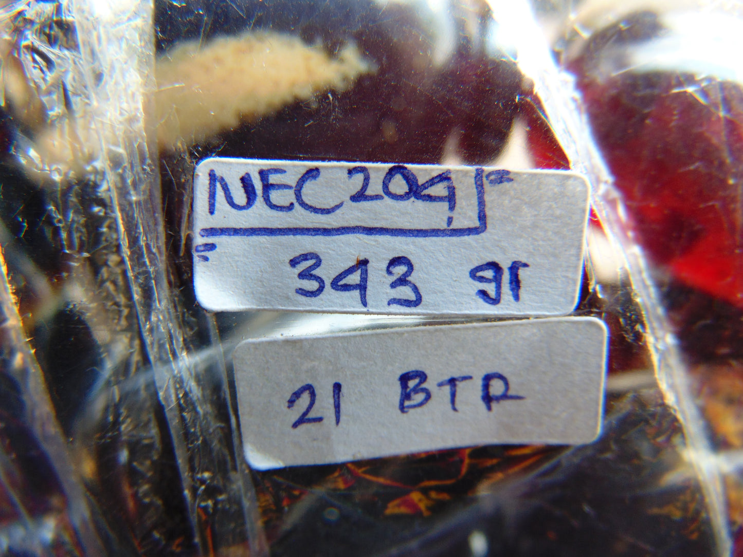 343 gr Big Necklace Indonesian Amber for Healing NEC204