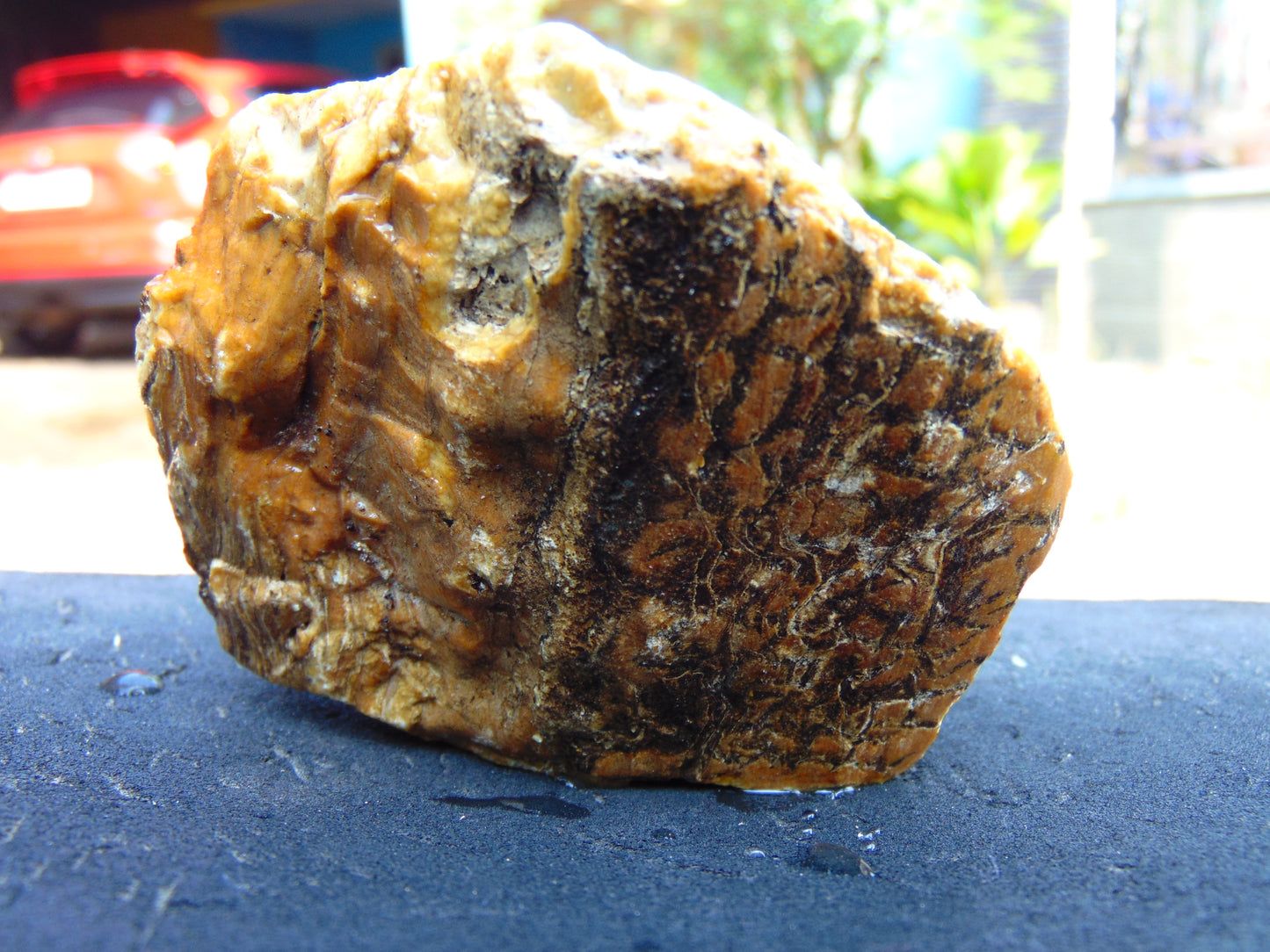 191 gram Polished Indonesia Yellow Aromatic Amber for Healing AY26M160