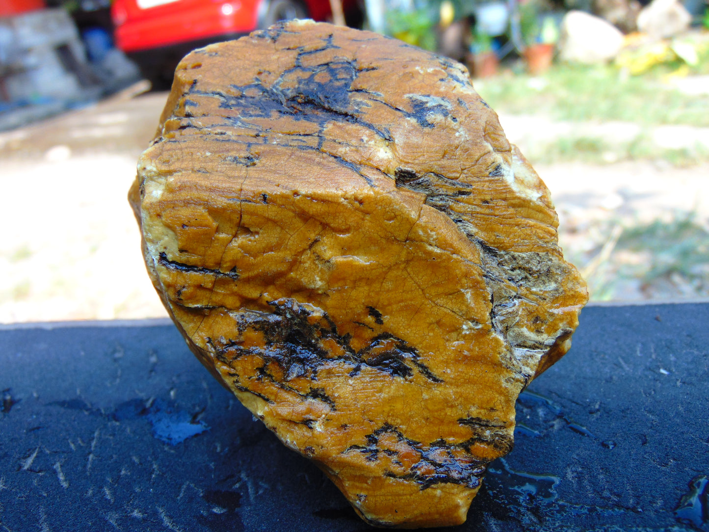 191 gram Polished Indonesia Yellow Aromatic Amber for Healing AY26M160