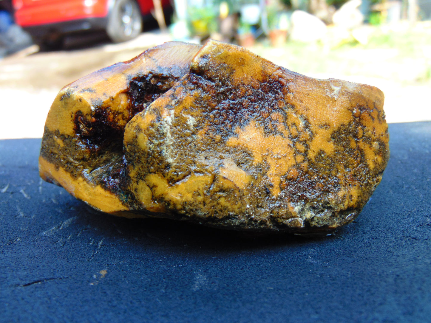 222 gram Polished Indonesia Yellow Aromatic Amber for Healing AY26M162
